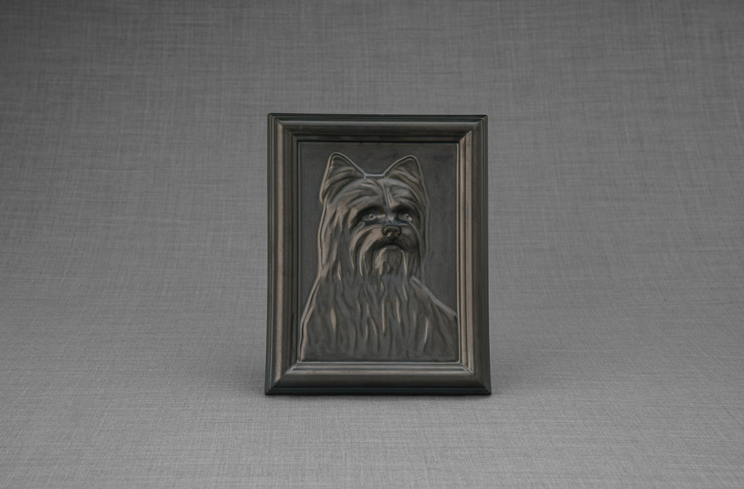 Single Yorkie relief portrait in a dark frame set against a gray textured background.