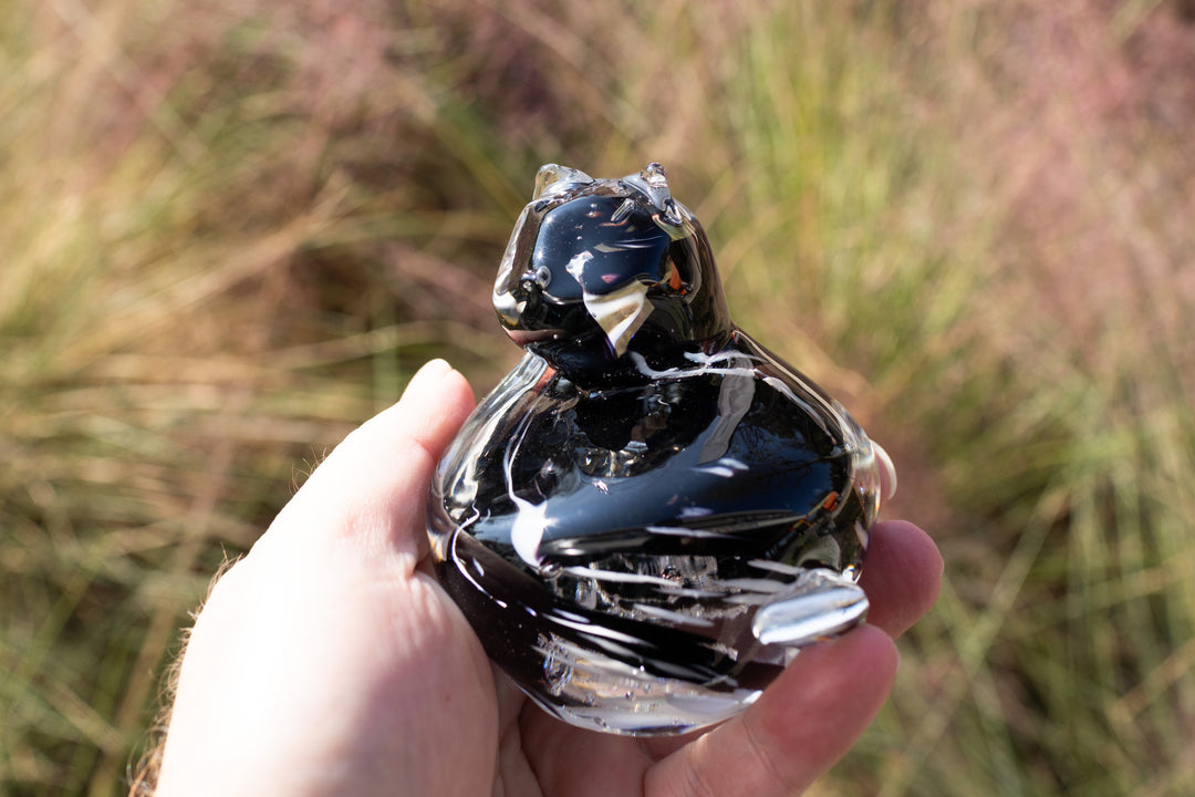 Cat in hand with cremation ashes