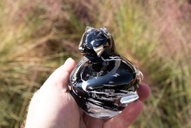 Cat in hand with cremation ashes