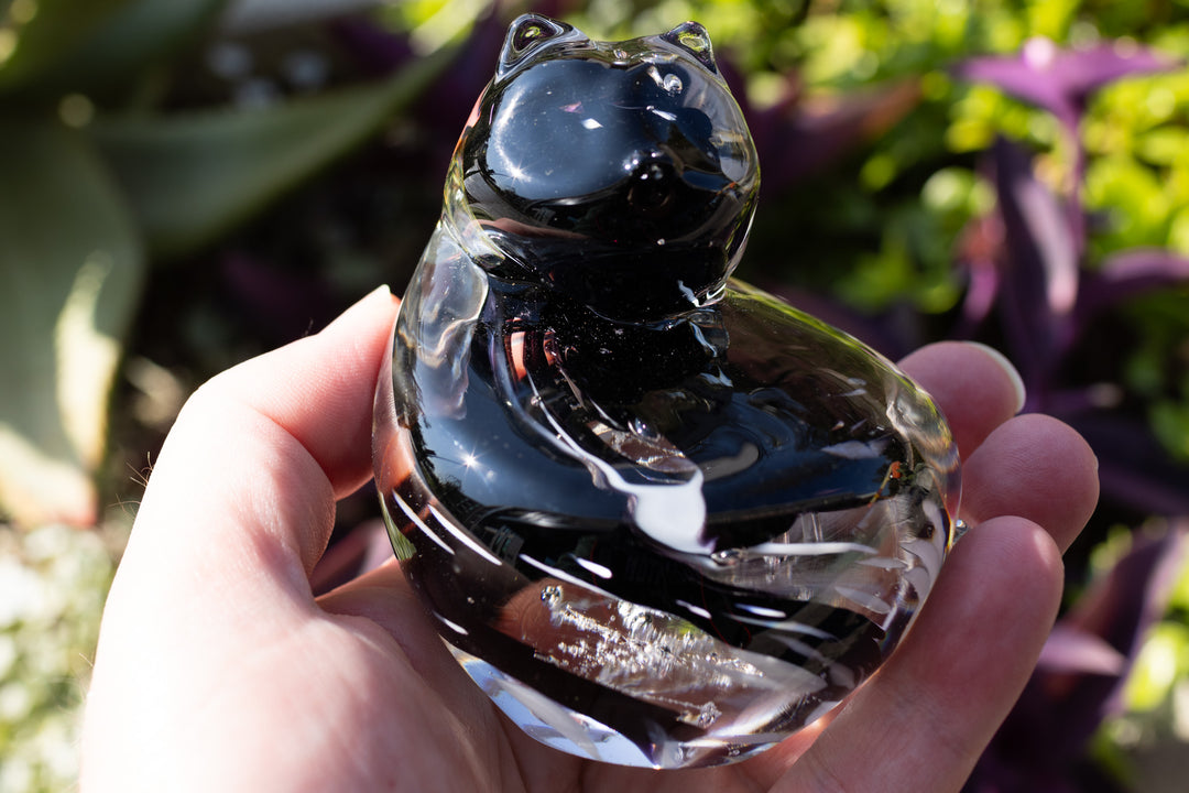 Cat in hand with cremation ashes