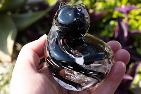 Cat in hand with cremation ashes