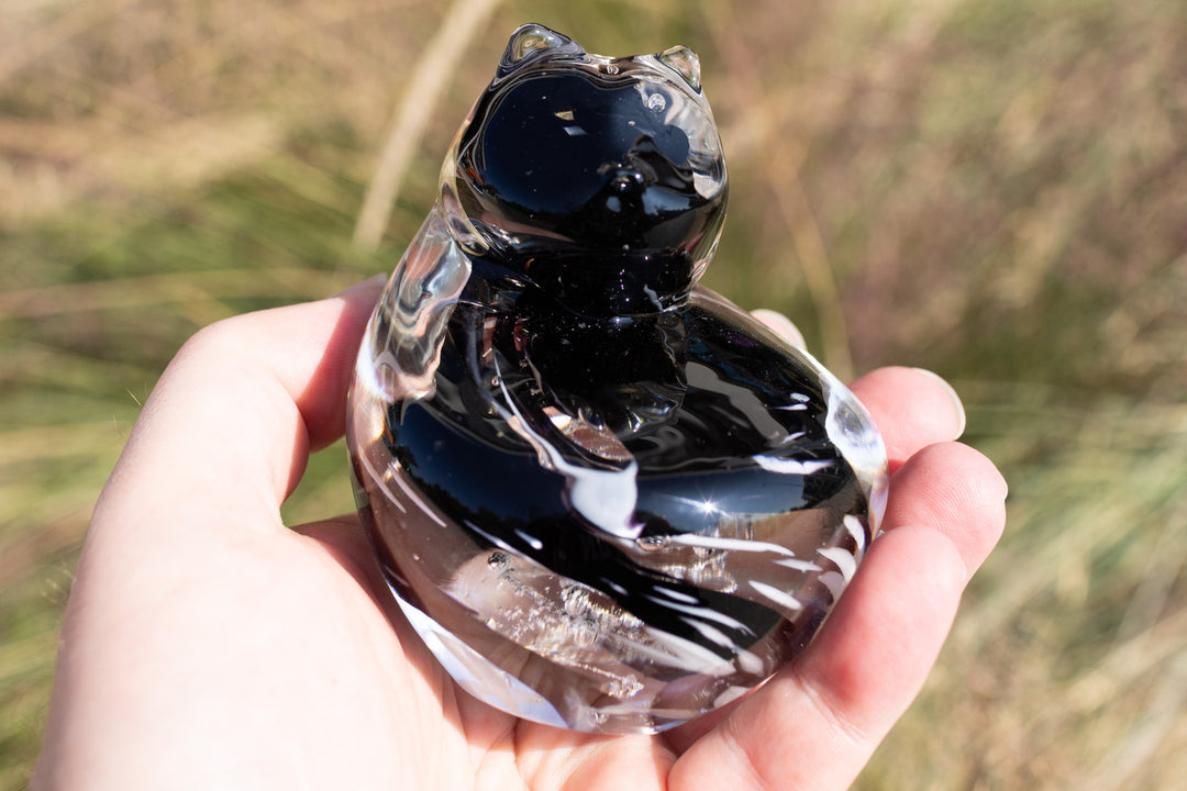 Cat in hand with cremation ashes