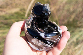 Cat in hand with cremation ashes