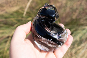 Cat in hand with cremation ashes