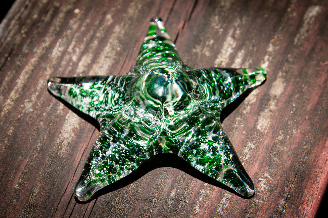 starfish with cremation ash