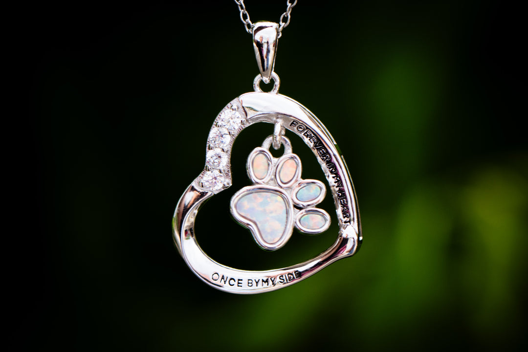Sterling silver pawprint cremation necklace with a crystal encrusted curved frame and multicolor paw print charm on a delicate chain