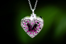 locket for cremation ash and picture