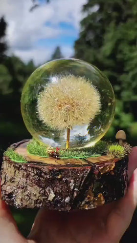 Dandelion Sphere with Woodland Base and Cremation Ashes