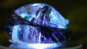 Illuminated Half-Tone Sleeping Glass Cat