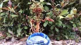 Ent Wire Sculpture with Sparkle Orb