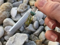 Star Flower and Moss Terrarium Necklace with Infused Ashes