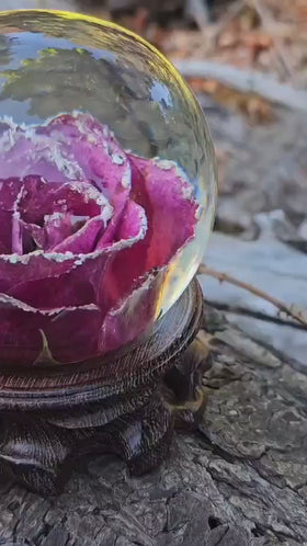 Large Frosted Rose with Wooden Base and Cremation Ashes