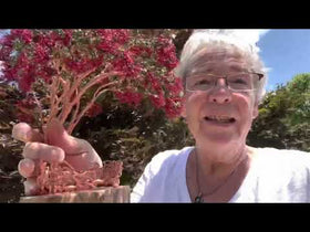 Wisteria Tree with Emerald Forest Orb