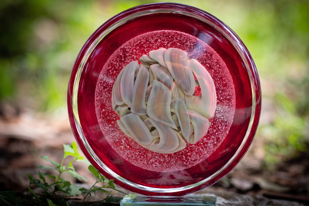 red disc with cremation ash
