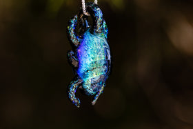 scarab beetle with cremation ash