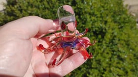 rainbow dichroic octopus in hand