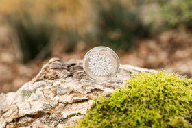 Sharing Stones with Cremation Ash