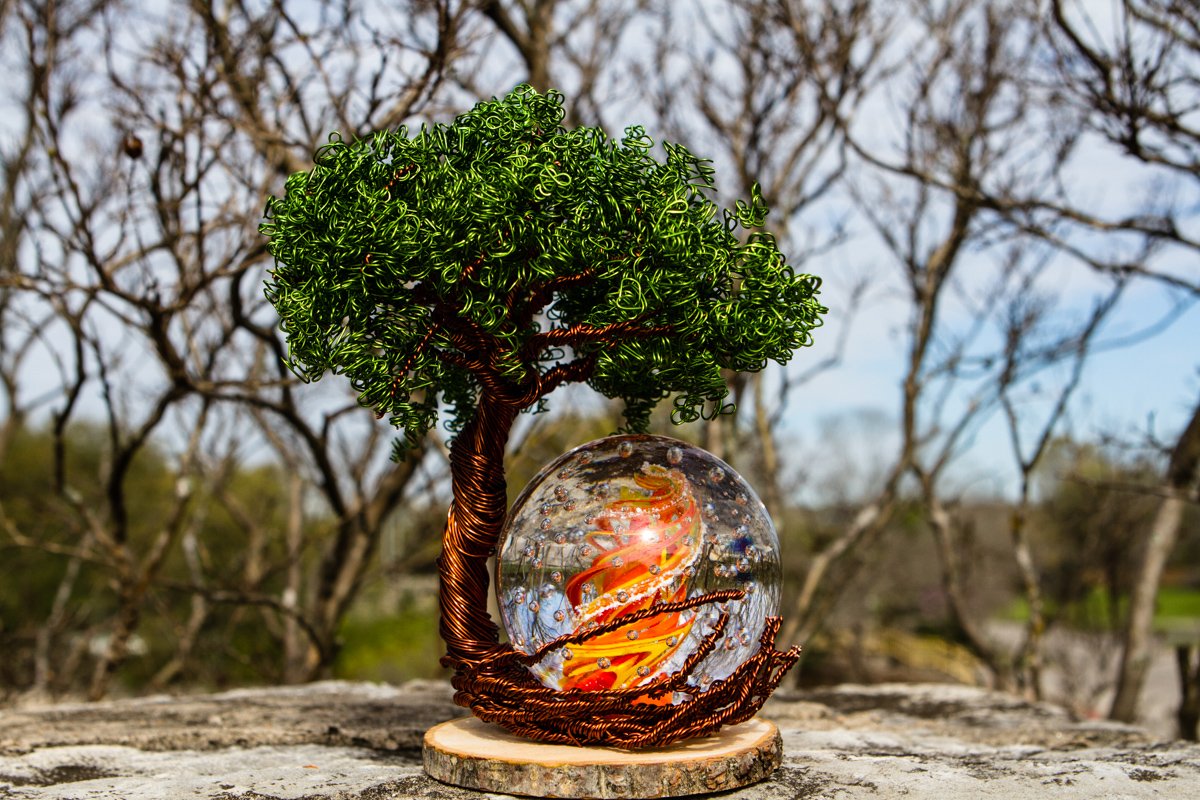 Tree Bubbling Bubble Inside A Tree