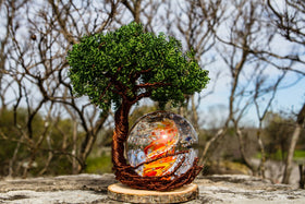 Ponderosa Tree Of Life with Burning Bush Bubble Flame Orb
