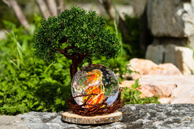 Ponderosa Tree Of Life with Spiral Bubble Flame Orb