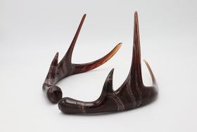 Single Glass Deer Antlers with Cremation Ash