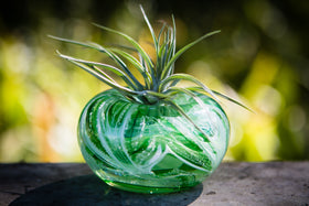 ashes into glass memorial planter