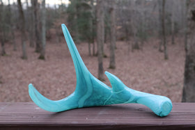 Set of Glass Deer Antlers with Cremation Ash