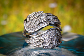 embraced ring