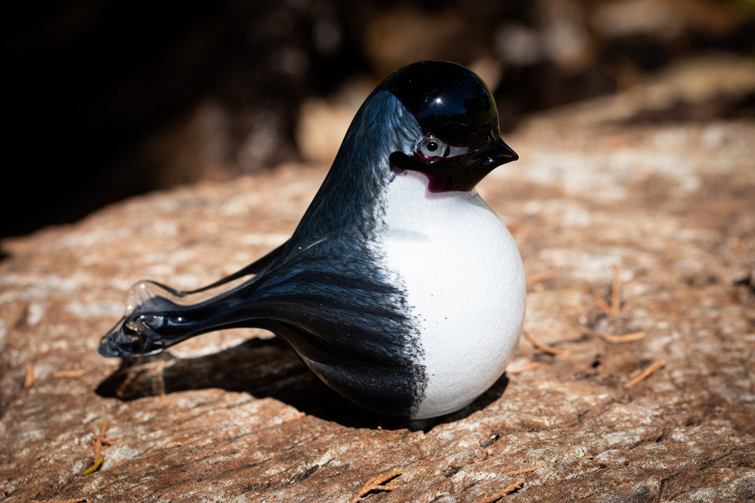 chickadee bird with cremation ashes