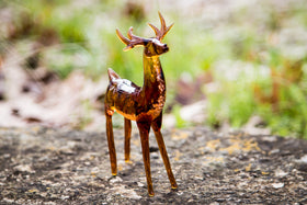 Deer with cremation ash