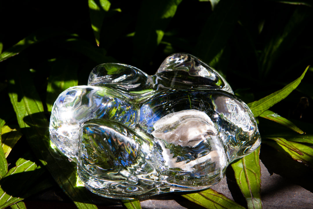 Clear memorial glass paw print keepsake infused with cremation ash resting on green leaves