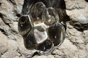 Memorial Glass Paw Print