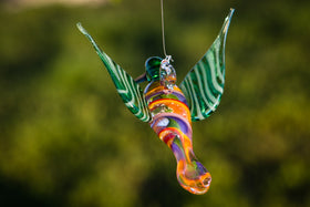 green rainbow hummingbird