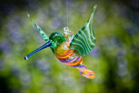 green rainbow hummingbird