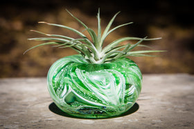 ashes into glass memorial planter