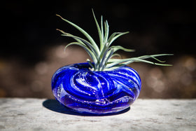 ashes into glass memorial planter