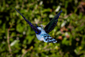 glass bluejay figurine with ashes