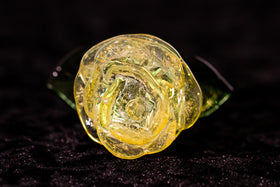 Ashes in Glass Rose