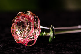 Ashes in Glass Rose