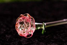 Ashes in Glass Rose