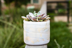 ashes into glass memorial planter