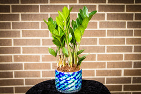 Blue Stripped Memorial Planter