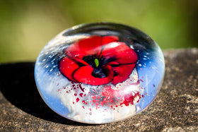 poppy flower with cremation ash in glass