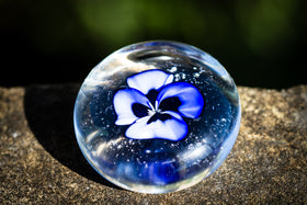 violet flower with cremation ash in glass