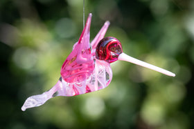 pink hummingbird with cremation ash