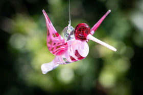 pink hummingbird with cremation ash