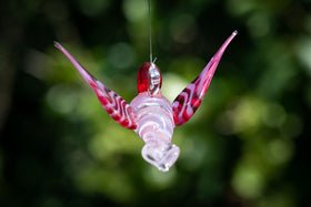 pink hummingbird with cremation ash