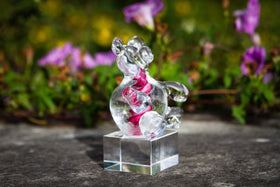 Glass teddy bar with cremation ashes