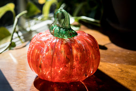 pumpkin with cremation