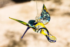 Blue & Yellow Glass Hummingbird with Infused Ash